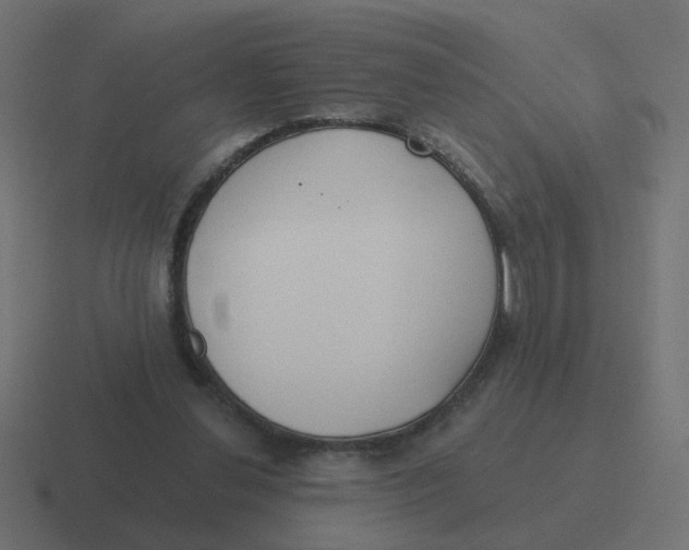 X0000116430252200912291914