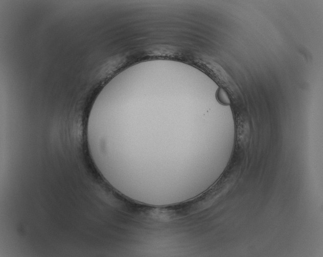 X0000116430261200912291914