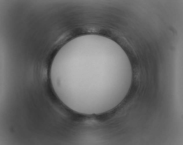 X0000116430262200912291914