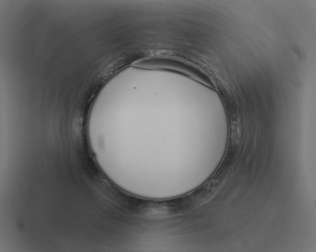 X0000116430263200912291914