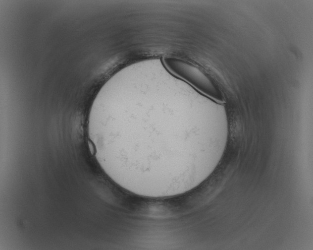 X0000116430264200912291914