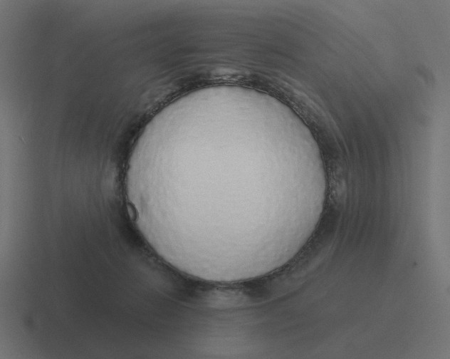 X0000116430270200912291914