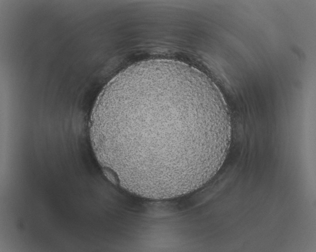 X0000116430273200912291914