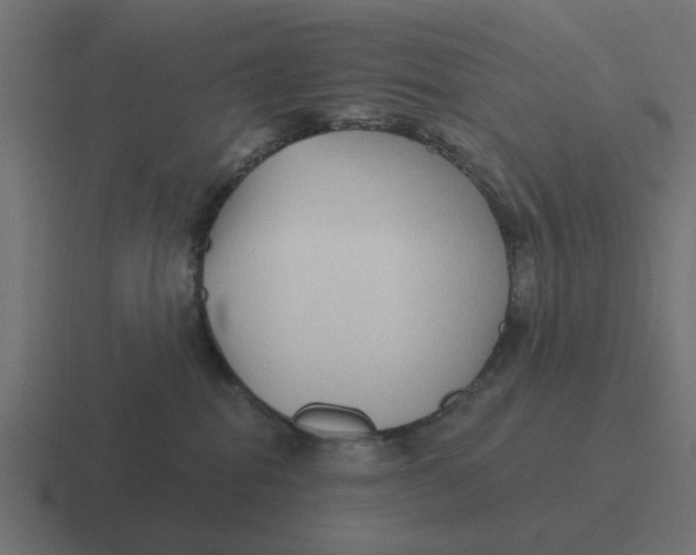 X0000116430282200912291914