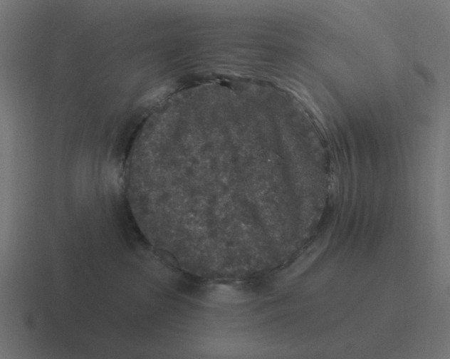 X0000116430285200912291914