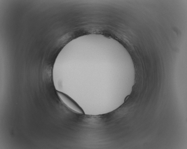 X0000116430288200912291914