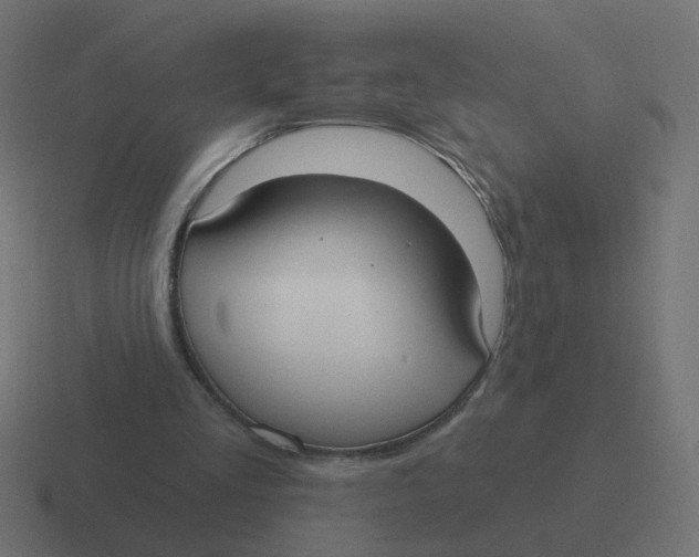 X0000116430293200912291914