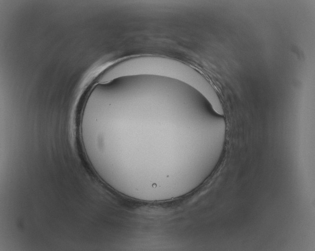 X0000116430294200912291914