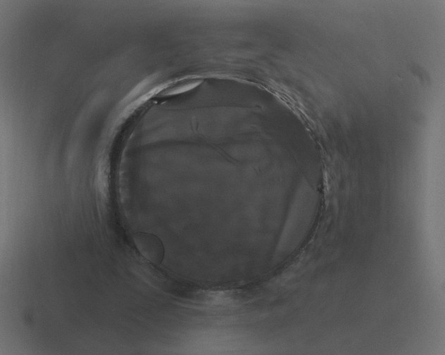 X0000116430295200912291914