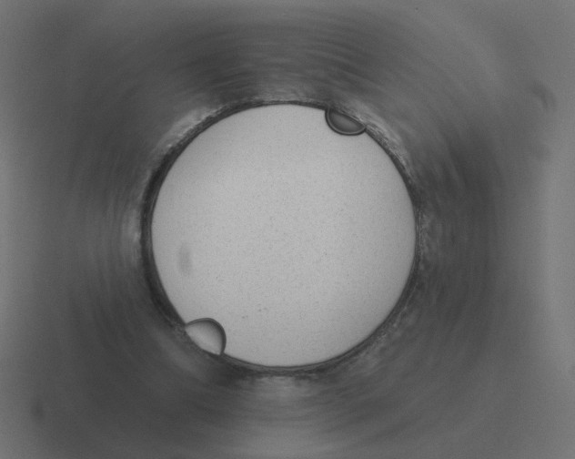 X0000116430298200912291914