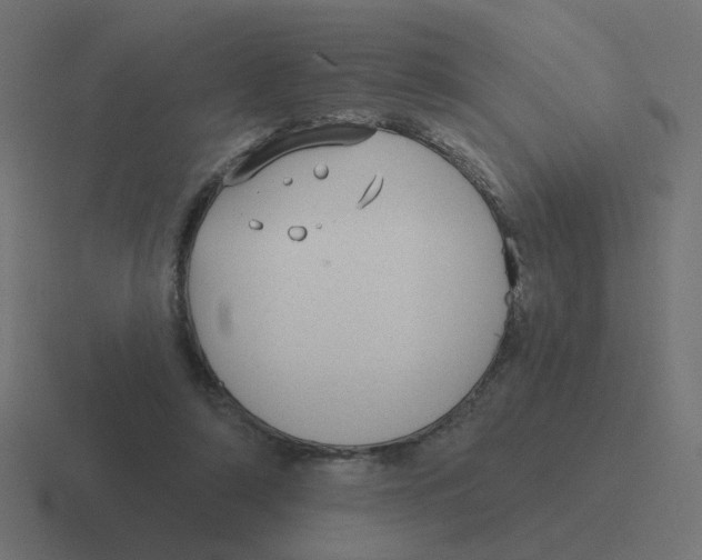 X0000116430306200912291914