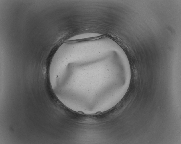 X0000116430308200912291914