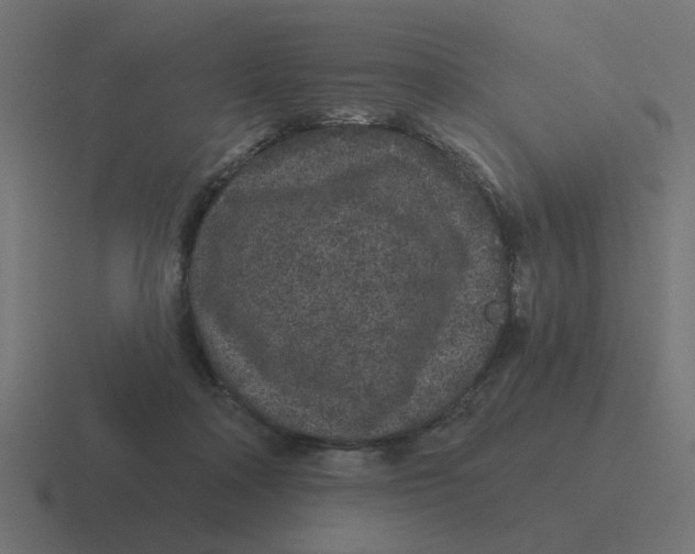 X0000116430314200912291913