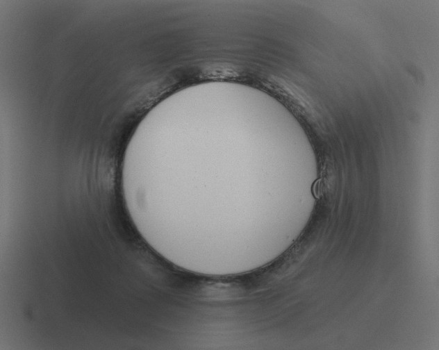 X0000116430315200912291913