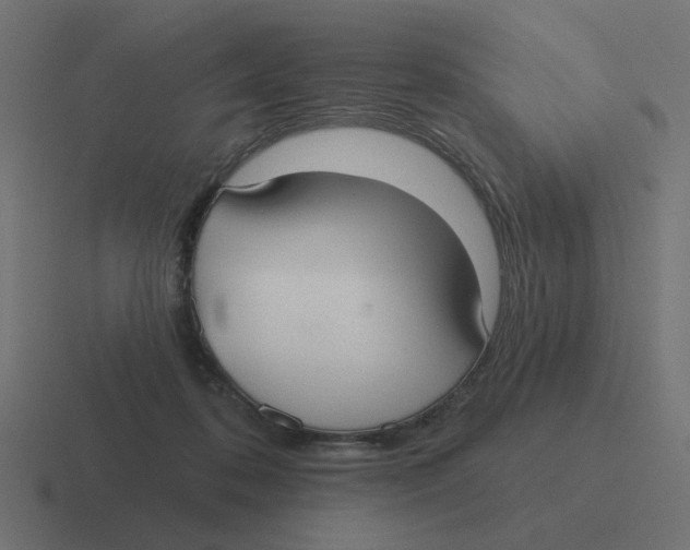 X0000116430316200912291913