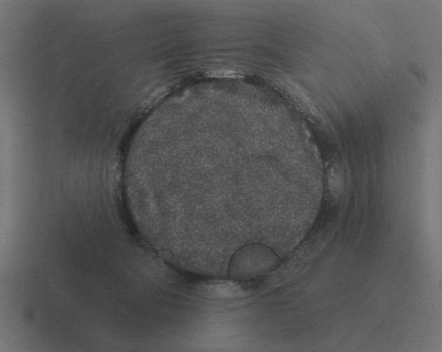 X0000116430322200912291913