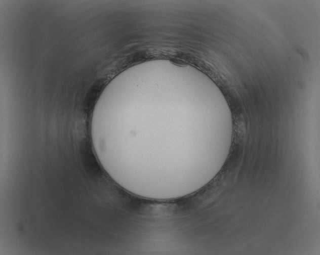 X0000116430323200912291913