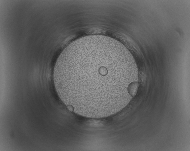 X0000116430326200912291913