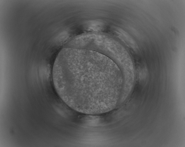 X0000116430328200912291913