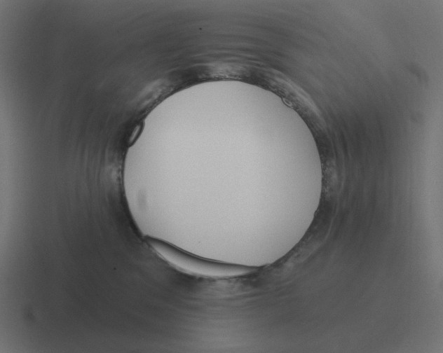 X0000116430329200912291913