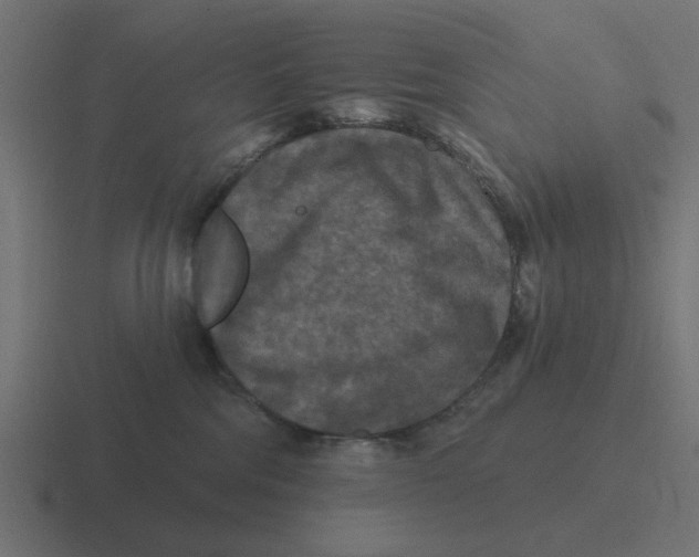 X0000116430330200912291913