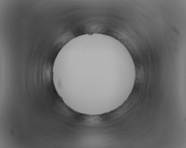 X0000116430334200912291913