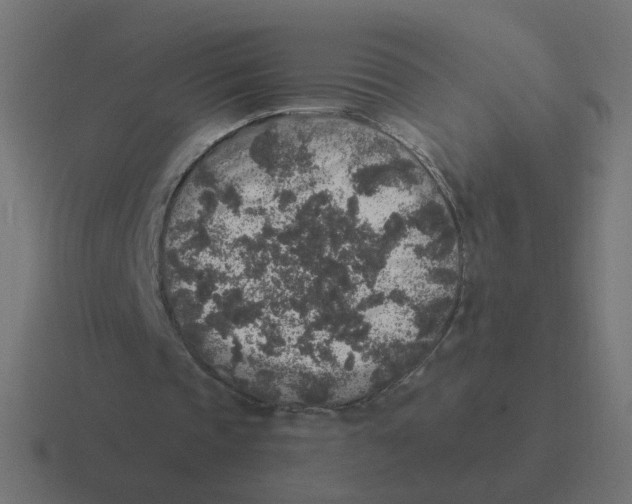 X0000116430337200912291913
