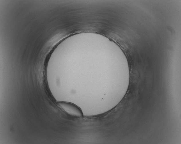 X0000116430338200912291913