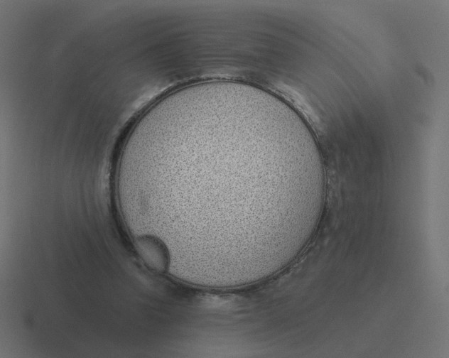 X0000116430346200912291913