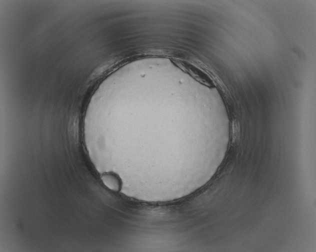 X0000116430349200912291913