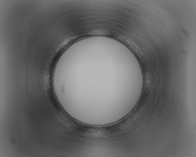X0000116430351200912291913