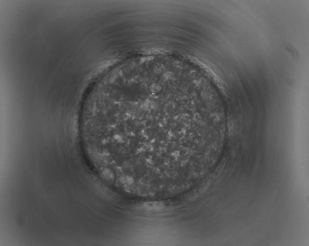 X0000116430353200912291913