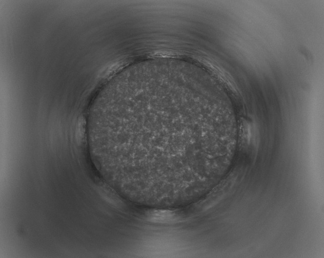 X0000116430361200912291913