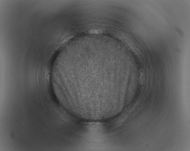 X0000116430363200912291913