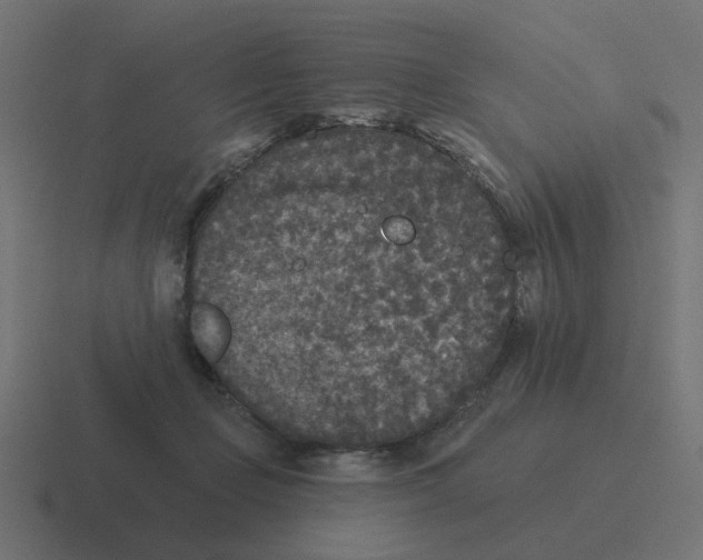 X0000116430365200912291913