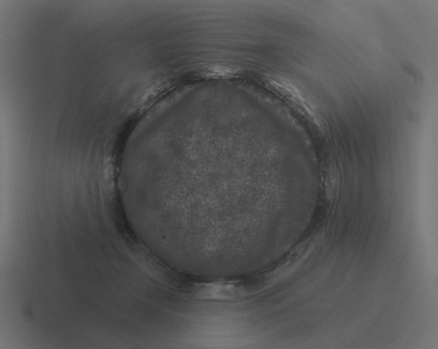 X0000116430366200912291913