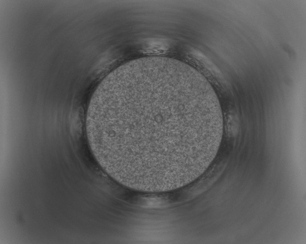 X0000116430370200912291913