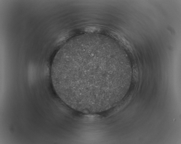 X0000116430375200912291913