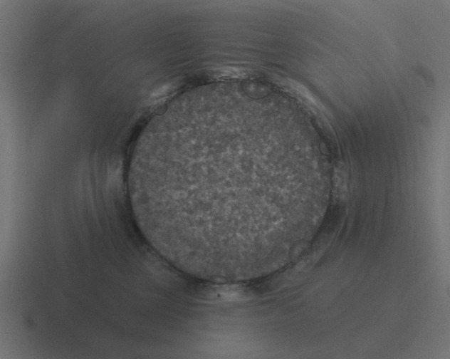 X0000116430377200912291913