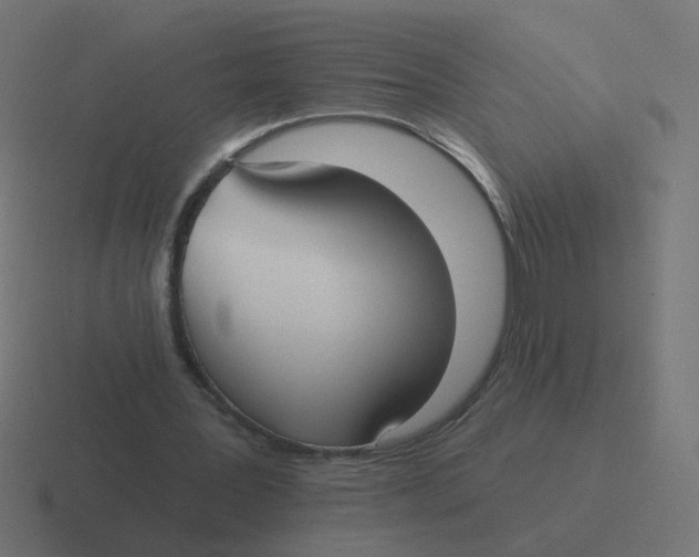 X0000116430387200912291913