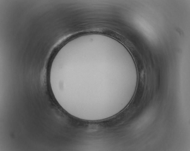 X0000116430388200912291913