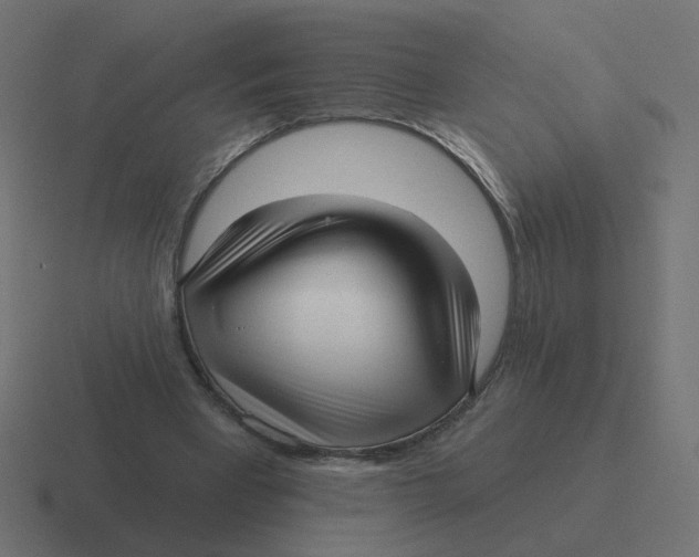 X0000116430393200912291912
