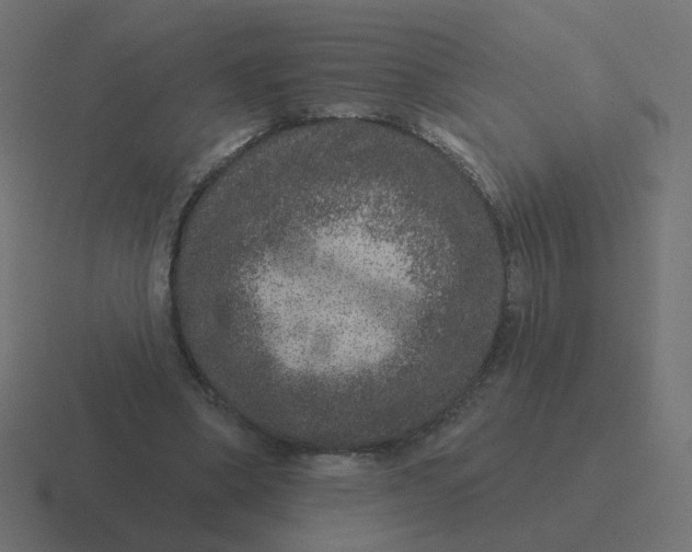 X0000116430394200912291912