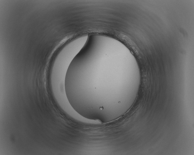 X0000116430395200912291912