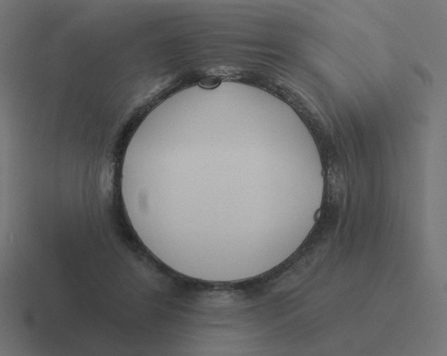 X0000116430404200912291912