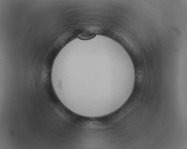 X0000116430408200912291912