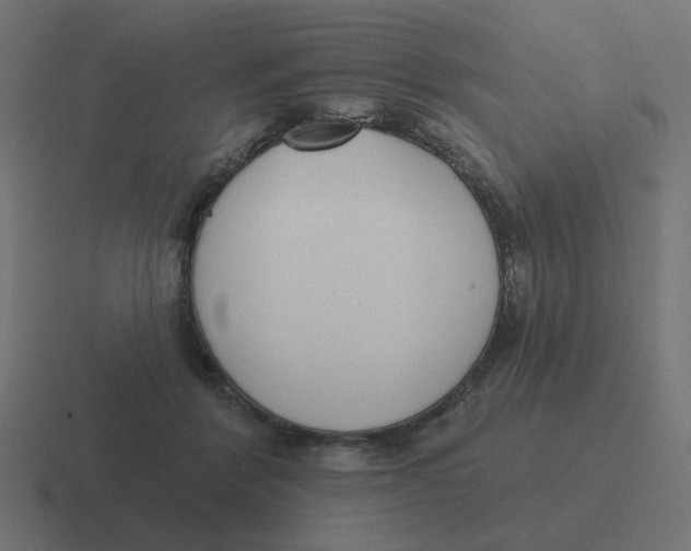 X0000116430412200912291912