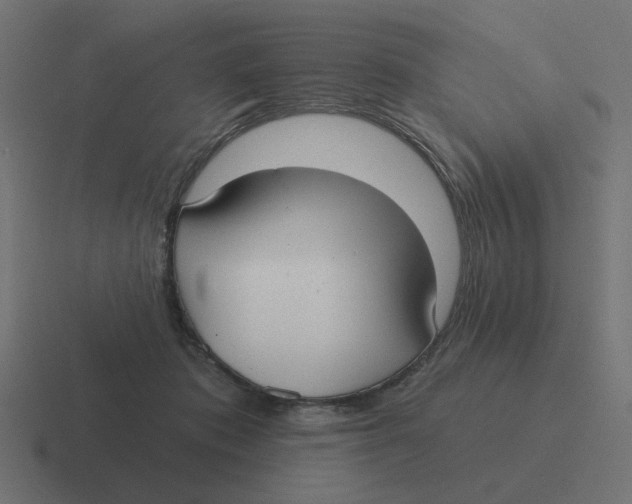 X0000116430413200912291912