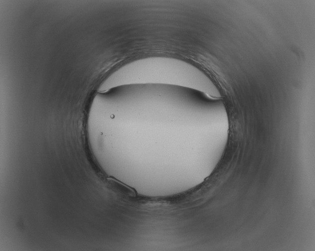 X0000116430415200912291912