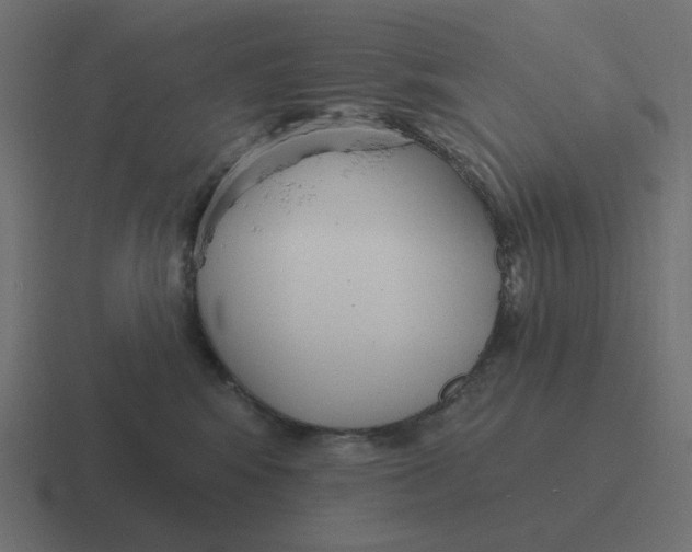 X0000116430424200912291912
